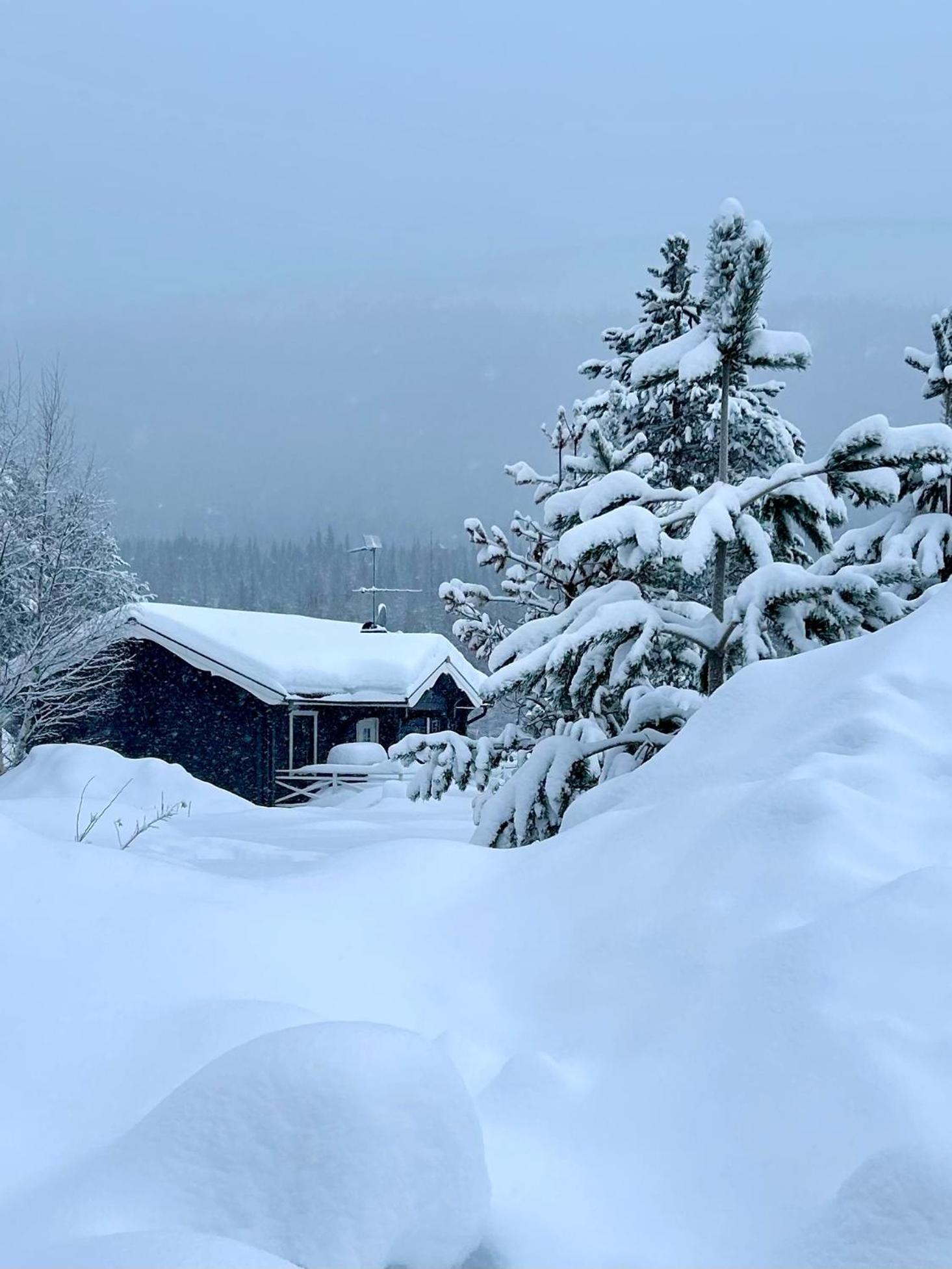 Nymon Mountain Lodge Stöten Εξωτερικό φωτογραφία